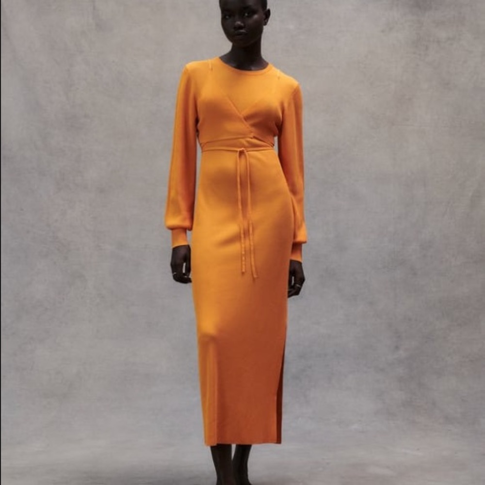 NWT Zara Knit Midi Dress
